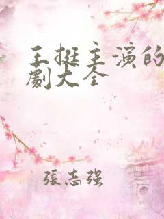 王挺主演的电视剧大全