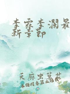 李霖李澜最新更新章节