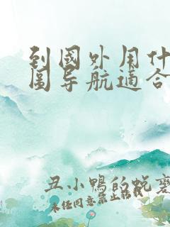 到国外用什么地图导航适合中国人用