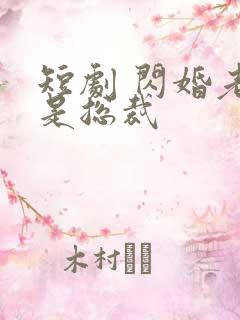 短剧 闪婚老公是总裁