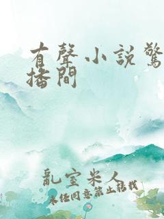 有声小说惊悚直播间