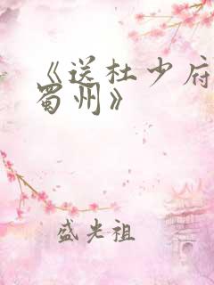 《送杜少府之任蜀州》