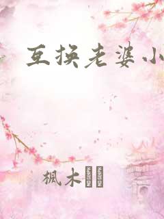 互换老婆小说