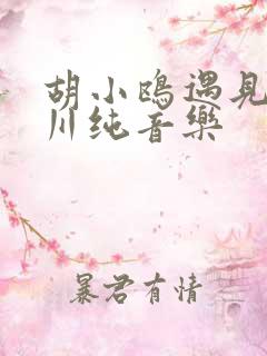 胡小鸥遇见王沥川纯音乐