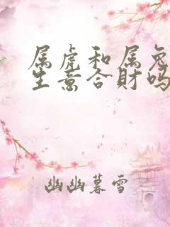 属虎和属兔的做生意合财吗