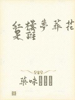 红楼梦葬花的人是谁