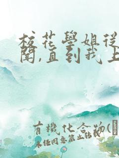 校花学姐从无绯闻,直到我上大学结局