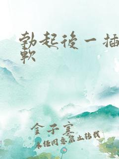 勃起后一插入就软