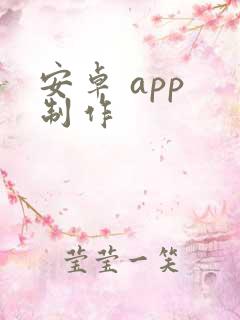 安卓 app 制作