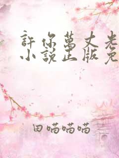 许你万丈光芒好小说正版免费