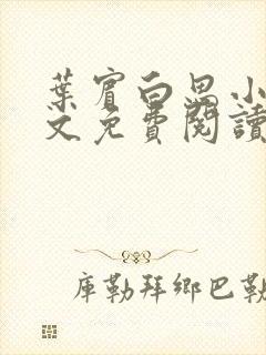 叶宾白思小说全文免费阅读最新章节