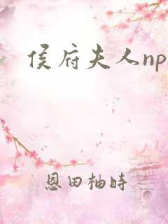 侯府夫人np
