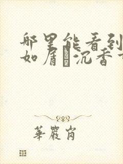 哪里能看到沉香如屑·沉香重华