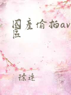 国产偷拍av一区