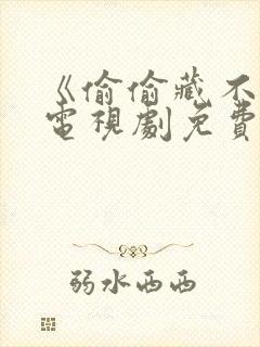 《偷偷藏不住》电视剧免费