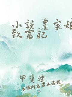小说 农家娘子致富记