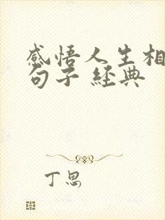 感悟人生相遇的句子 经典