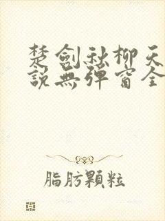 楚剑秋柳天瑶小说无弹窗全文免费阅读 楚剑秋柳天瑶小说无弹窗全文免费阅读