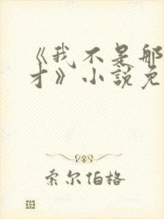 《我不是那种人才》小说免费阅读