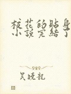 校花的贴身高手小说完结了吗