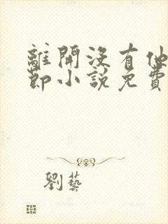 离开没有他的季节小说免费阅读全文