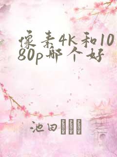 像素4k和1080p哪个好