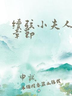 续弦小夫人全部章节