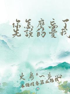 你怎么忘了是你先说的爱我歌词