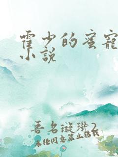 霍少的蜜宠娇妻小说 霍少的蜜宠娇妻小说