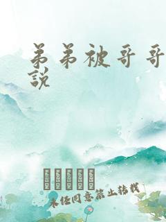 弟弟被哥哥插小说