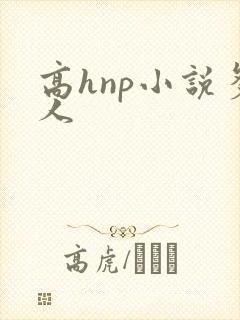 高hnp小说多人