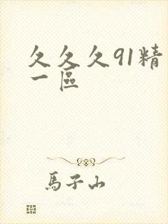 久久久91精品一区