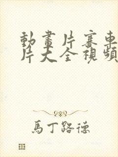 动画片赛车动画片大全视频