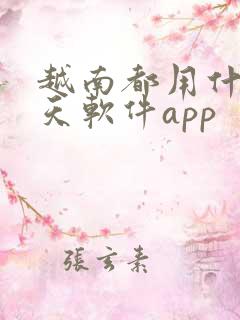 越南都用什么聊天软件app 越南都用什么聊天软件app
