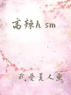 高辣h sm