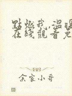 点燃我,温暖你在线观看免费全集
