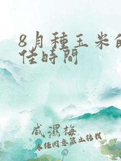 8月种玉米的最佳时间