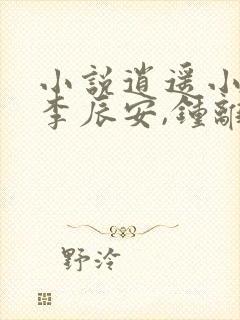 小说逍遥小贵婿李辰安,钟离若水
