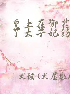 皇上在御花园c了太子妃的网剧