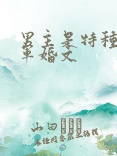 男主是特种兵的军婚文
