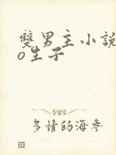 双男主小说abo生子
