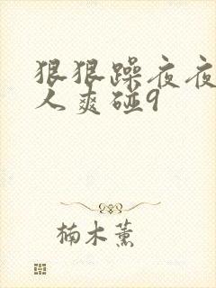 狠狠躁夜夜躁人人爽碰9