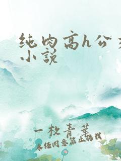 纯肉高h公交车小说
