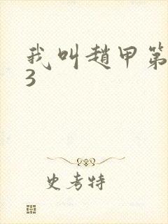 我叫赵甲第三部3