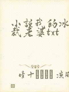 小说我的冰山总裁老婆txt