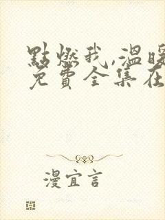 点燃我,温暖你免费全集在线观看