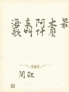 海来阿木最新的歌叫什么