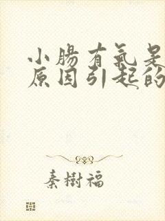 小肠有气是什么原因引起的