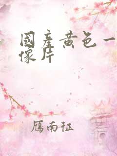 国产黄色一级录像片