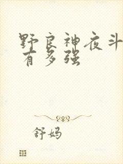 野良神夜斗到底有多强